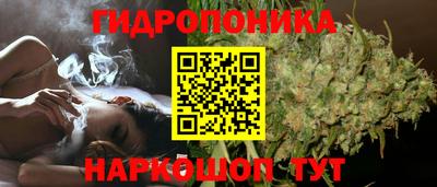 прущие крисы Бузулук